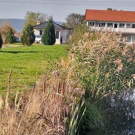 La Izvoare Pensiune-Pastravarie Sâmbăta de Sus Room photo