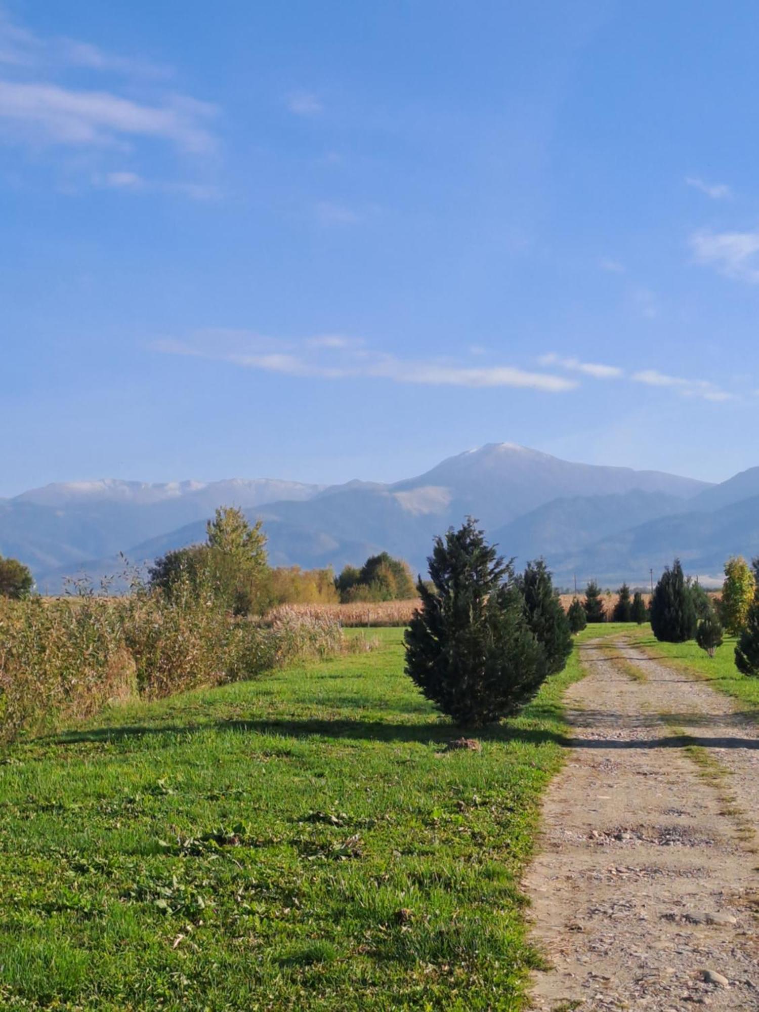 La Izvoare Pensiune-Pastravarie Sâmbăta de Sus Exterior photo