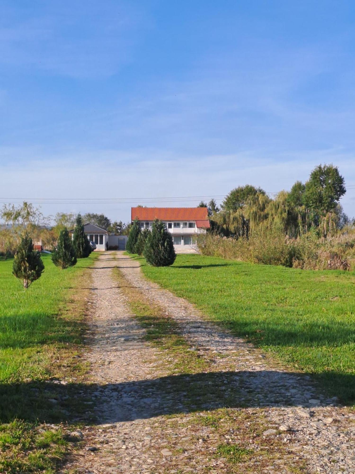 La Izvoare Pensiune-Pastravarie Sâmbăta de Sus Exterior photo