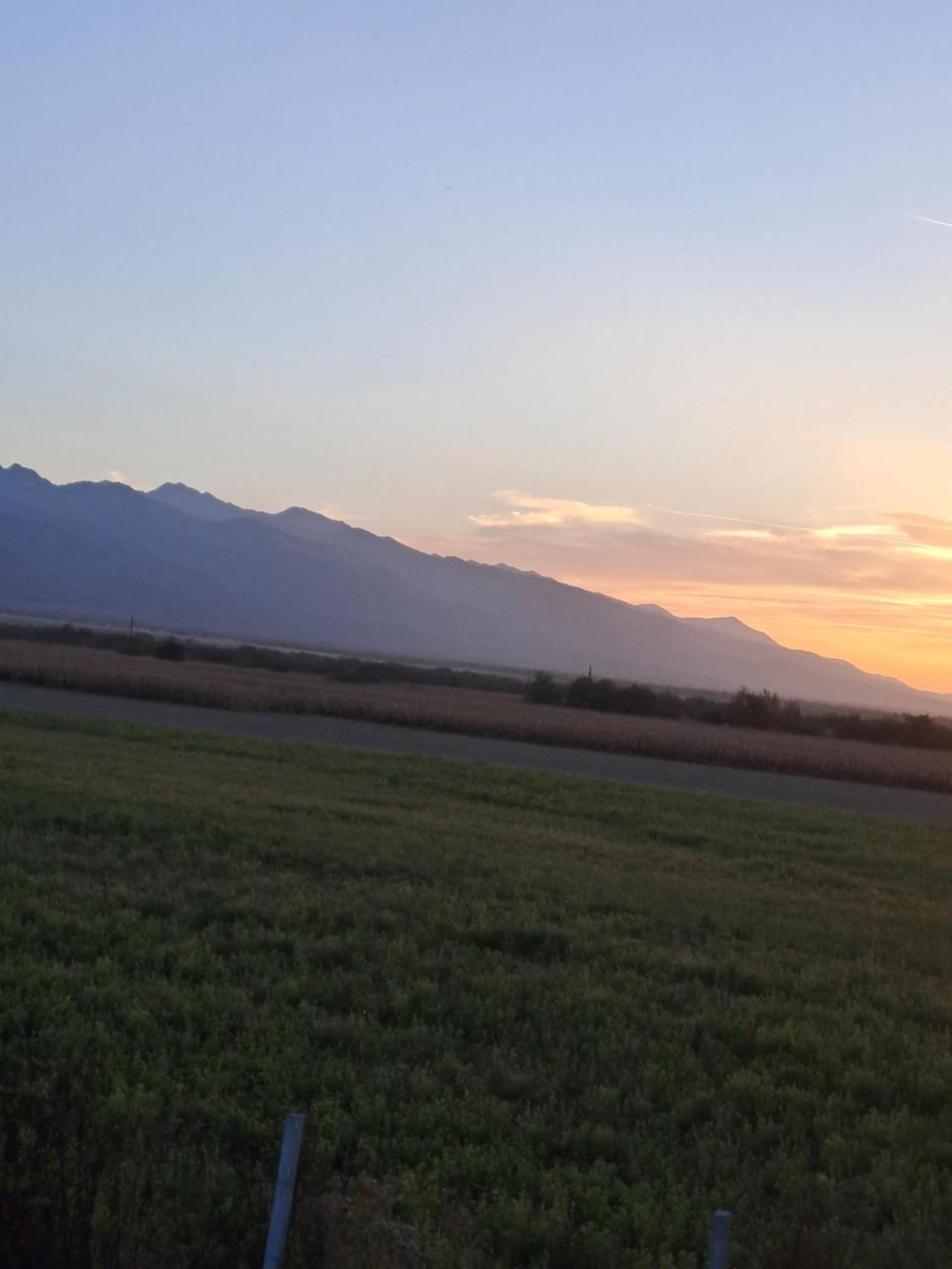 La Izvoare Pensiune-Pastravarie Sâmbăta de Sus Exterior photo