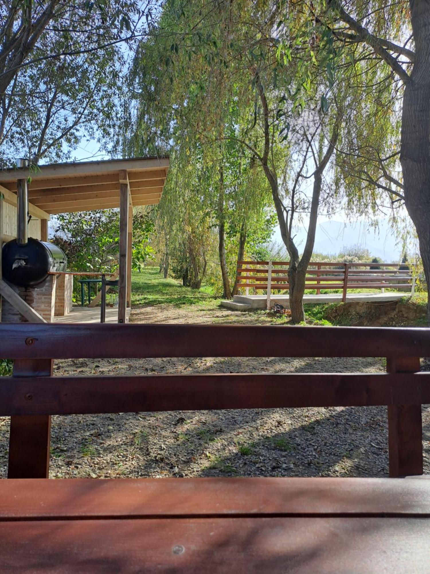La Izvoare Pensiune-Pastravarie Sâmbăta de Sus Exterior photo