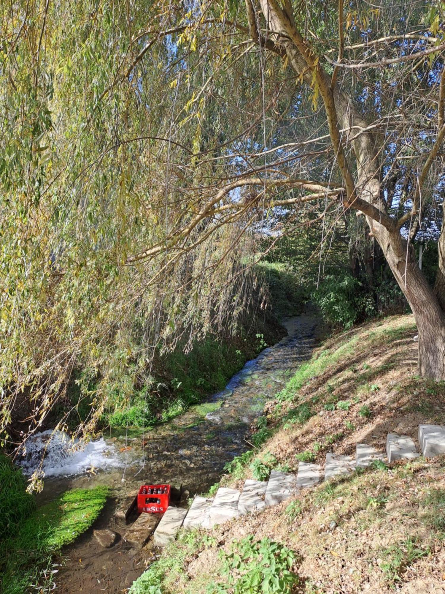 La Izvoare Pensiune-Pastravarie Sâmbăta de Sus Exterior photo