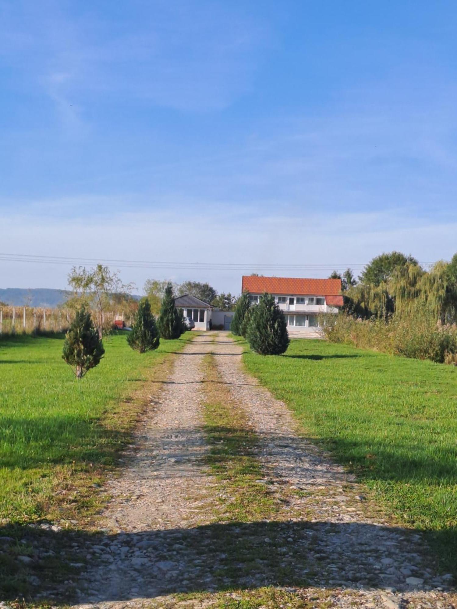 La Izvoare Pensiune-Pastravarie Sâmbăta de Sus Room photo