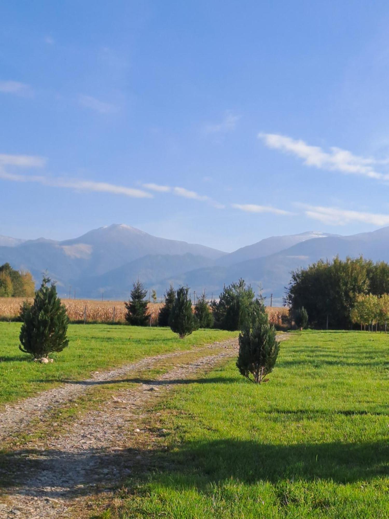 La Izvoare Pensiune-Pastravarie Sâmbăta de Sus Room photo
