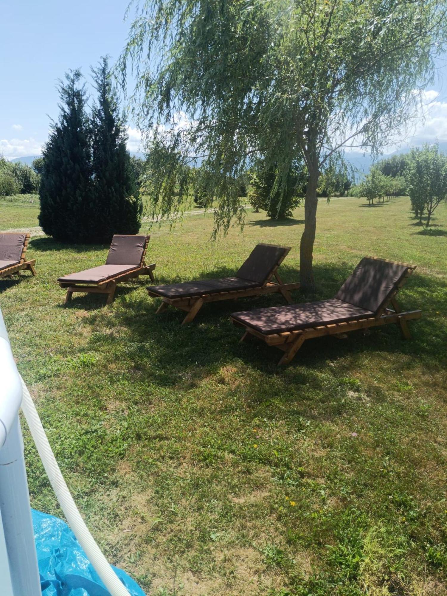 La Izvoare Pensiune-Pastravarie Sâmbăta de Sus Exterior photo